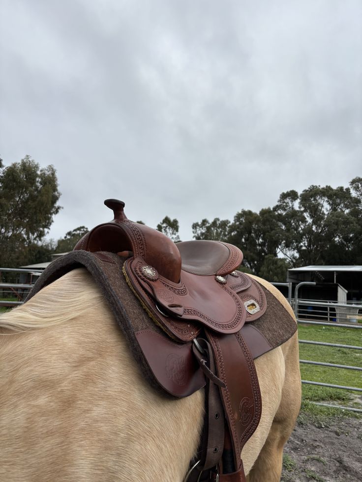 Leather saddle on a horse