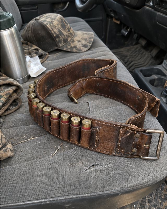 The same shell belt after the salve, fed and even in colour